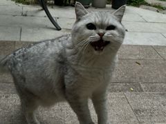 -来伊份(星湖街店)