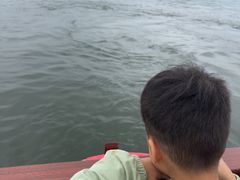 -西湖游船