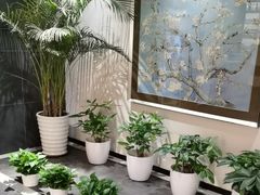 -黑松白鹿(金融街店)