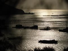 -南麂列岛