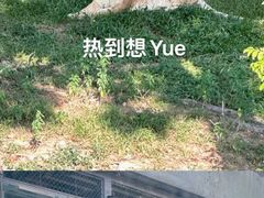 -深圳野生动物园