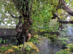 -Chom Cafe and Restaurant