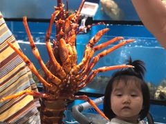 -盒马鲜生(曜一城店)