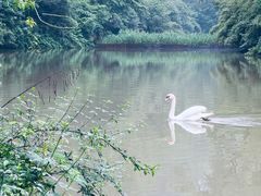 -黔灵山公园