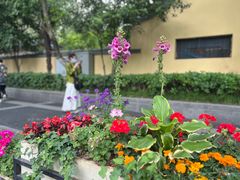 -颐和路民国时期公馆-风貌区