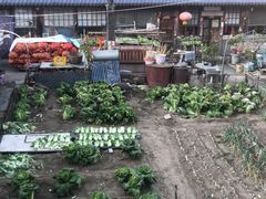 -云岫谷游猎自然风景区