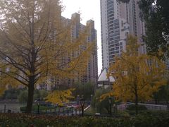 -苏州河梦清园环保主题公园