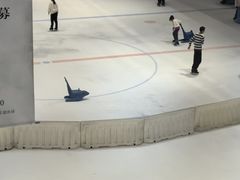-TheRink大零溜冰场(IFS国金中心店)
