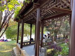 -八大山人梅湖景区