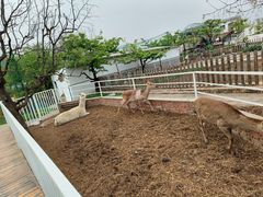 -丽泽山庄·生态怀柔菜·虹鳟鱼(红螺寺店)