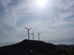 -东白山