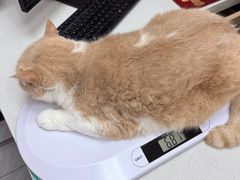-瑞鹏宠物医院·骨科·猫科·内科(第一中心)