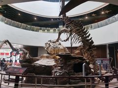 -昆明动物博物馆