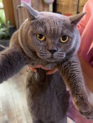 -青木造型HAIR·あおき髪を刈る潮人店