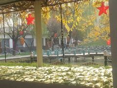 android_upload_pic-人民公社大食堂(顺义总店)