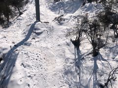 -太子岭滑雪场