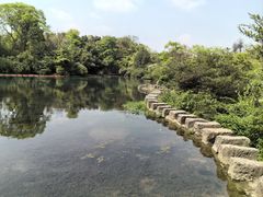 -花溪公园