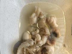 招牌鲜鱼片-淘米捞·米汤脆鲩鱼火锅(福田皇岗店)