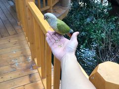 景点-南宫五洲植物乐园