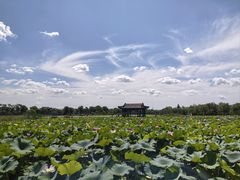 -长春北湖公园