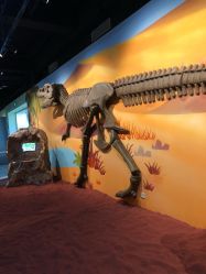 -北京科学中心儿童乐园