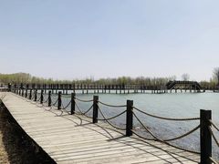 -野鸭湖国家湿地公园