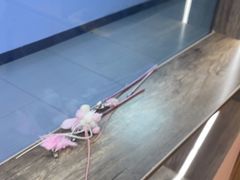 -剧狐剧本杀(徐汇1号店)