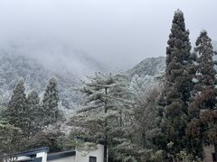 -黄山风景区