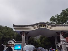 -茶颜悦色(岳麓山顶店)
