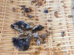 -驴脾气特色炒菜(广渠门内店)