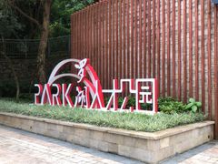 -银湖山郊野公园-相思林