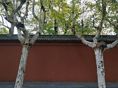 -苏州文庙(姑苏区)