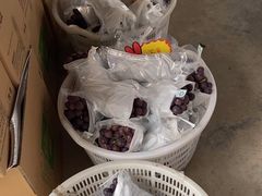 -马陆小张葡萄园农家乐