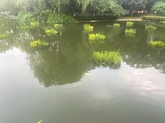 -圩墩遗址公园