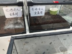 -Moni星球萌宠·小马宝莉·灵蛇·高端高阶全萌宠互动体验俱乐部(红豆国际广场店)