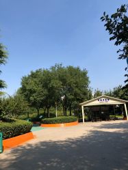 -酷酷兔少儿拓展天地