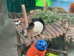 -青藏高原野生动物园