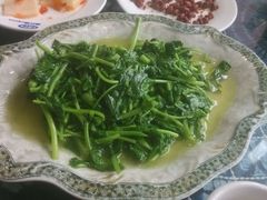 android_upload_pic-白家寨子·山野白族菜(古城总店)