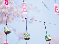 -顾村公园