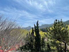 -石岛赤山风景区