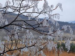 -龙洞风景区-藏龙涧