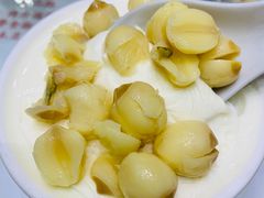 -义顺牛奶公司(新马路老店)