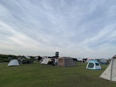 -春花秋色城市公园