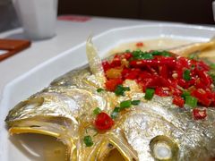-金戈戈香港豉油鸡(皇庭广场店)