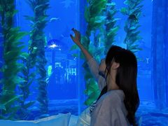 -南昌融创海世界