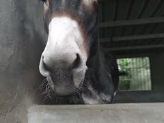 -桃园农庄·桃源宴