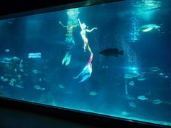 -福州罗源湾海洋世界旅游区