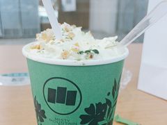 -雾与山茶(大禹城店)
