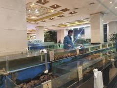 水产区-鹏天阁酒楼·海鲜(红旗店)