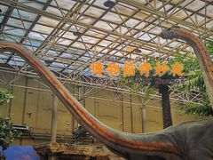 -国家自然博物馆